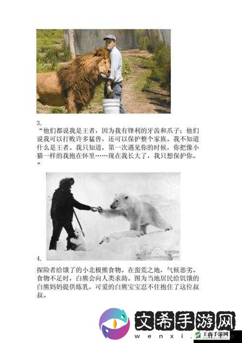 人与各种动物之间的奇妙故事与互动