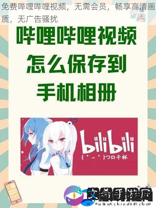 免费哔哩哔哩视频-无需会员-畅享高清画质-无广告骚扰
