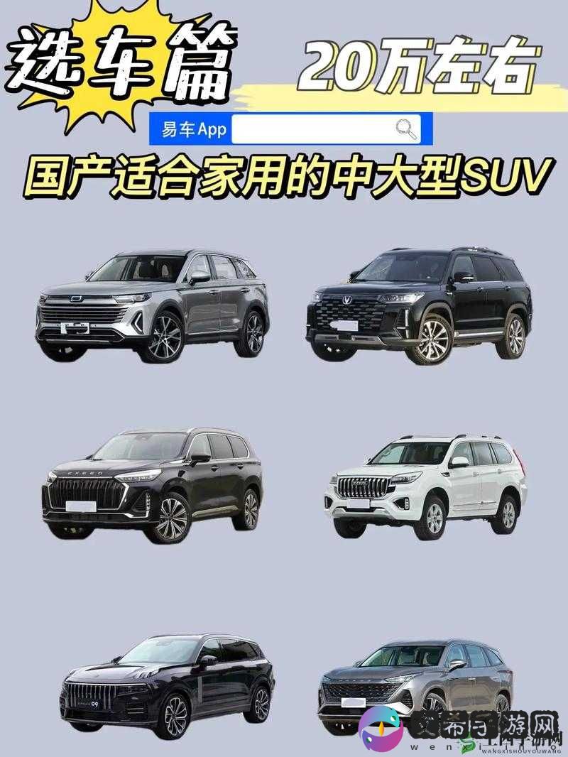国产 SUV 全品类大揭秘：全方位展示各类国产 SUV 车型