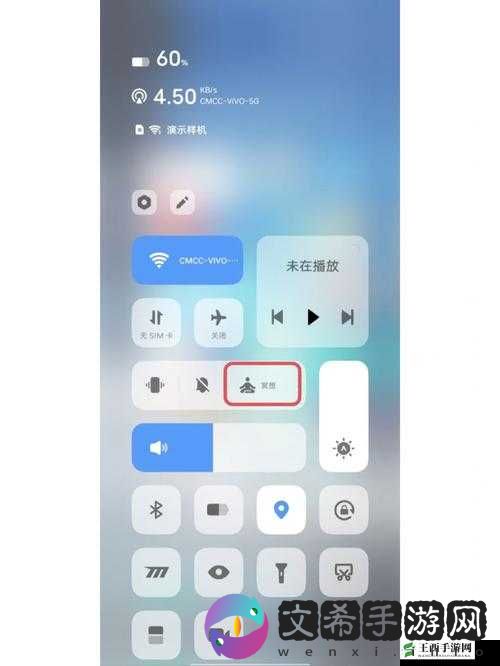 vivo3.0.3 破解大全:实用技巧与详细教程分享