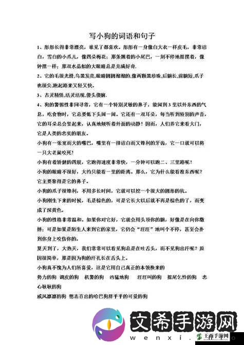 甜甜萌物语342话搭配攻略，解析甜美活泼风格在资源管理中的重要性及高效策略
