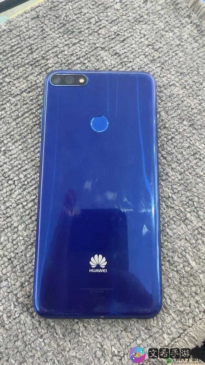 8X8X 海外华为永久免费 2024:畅享极致网络体验新契机