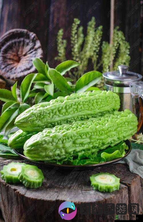 1313 苦瓜：独特风味的别样之选