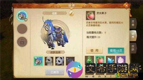 天下手游灵兽加点技巧全攻略,打造你的专属战斗伙伴