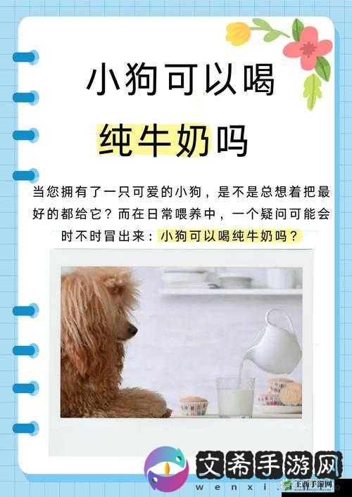 一晚上几次能喂饱你怎么回复 将会取消收费疑惑深度解析与探讨