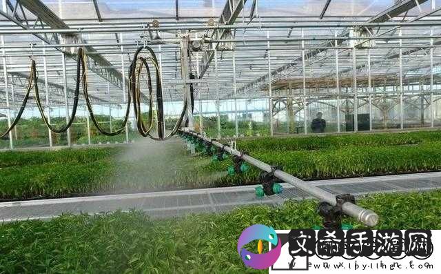 精准灌溉系统y液收集系统