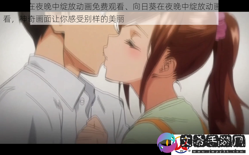 向日葵在夜晚中绽放动画免费观看、向日葵在夜晚中绽放动画免费观看-神奇画面让你感受别样的美丽