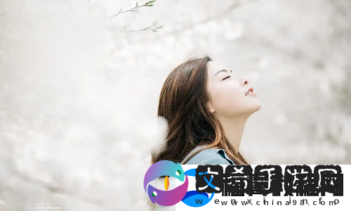 免费网站在线观看人数最多的省份有哪些-网友：你家乡上榜了吗