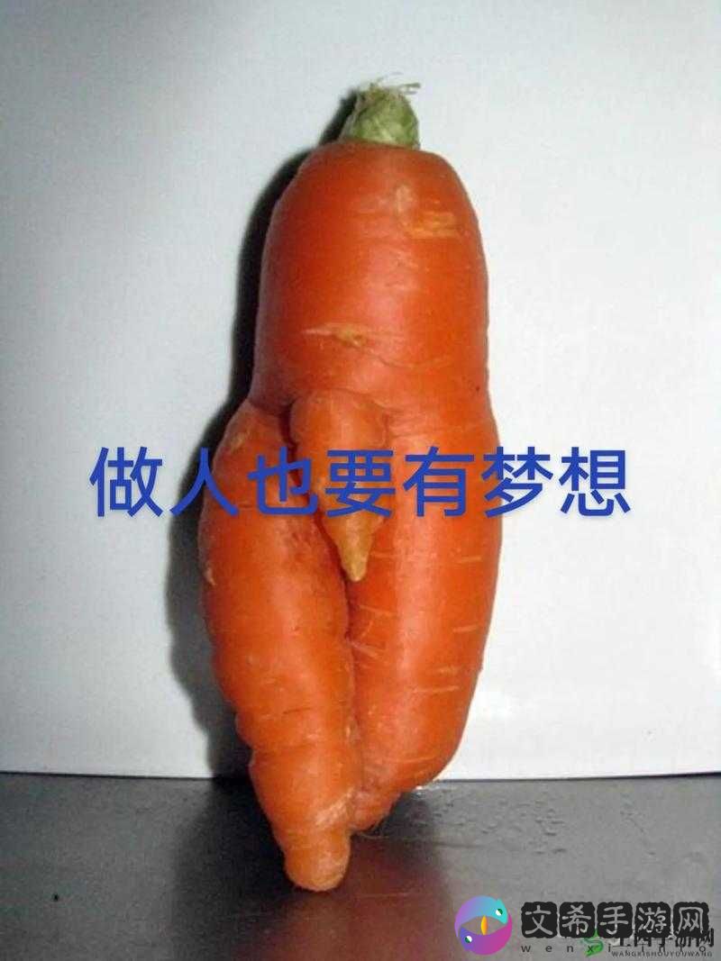 黄WWW禁止男女萝卜:这到底是怎么一回事呢