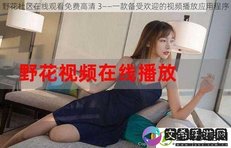 野花社区在线观看免费高清-3——一款备受欢迎的播放应用程序