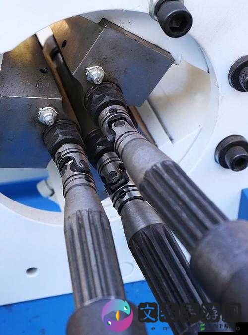 性别自由凸轮管汇编之深入探究与详细分析