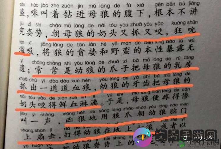 www.黄片相关内容:探寻其背后的隐秘世界