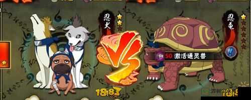 火影忍者手游：忍犬与忍龟实测对比：通灵兽选择指南！
