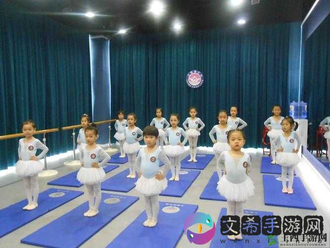 美国人 xxxx：从 xx 到 xx 的传奇人生