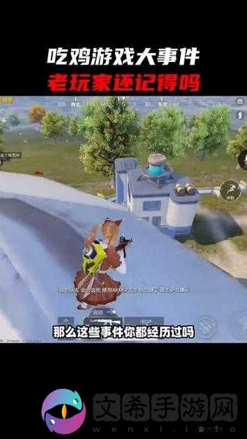 用嘴巴吃鸡会有什么好处吗:深入探讨吃鸡的奥秘与价值