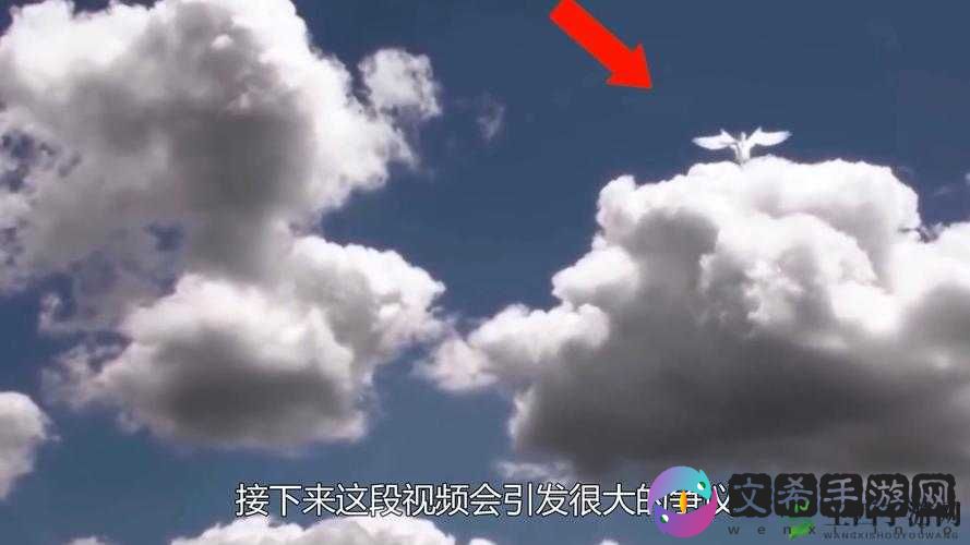 晚上一人偷偷看的 B 站应用:带你探索神秘的视频世界