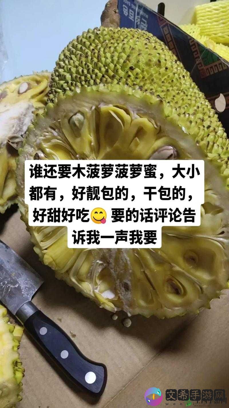 菠萝菠萝蜜视频在线观看大全:精彩内容等你发现