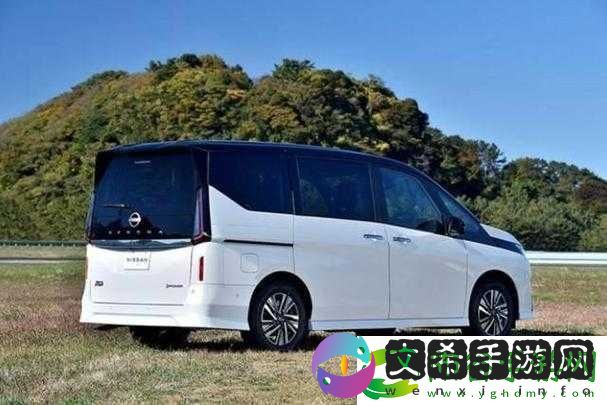 欧产日产国产精品：优质功能设置满足不同需求!