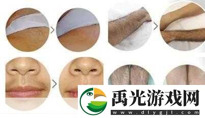 俄罗斯浓毛BBX