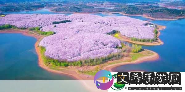 伊犁园20233秒转入被黑科技成