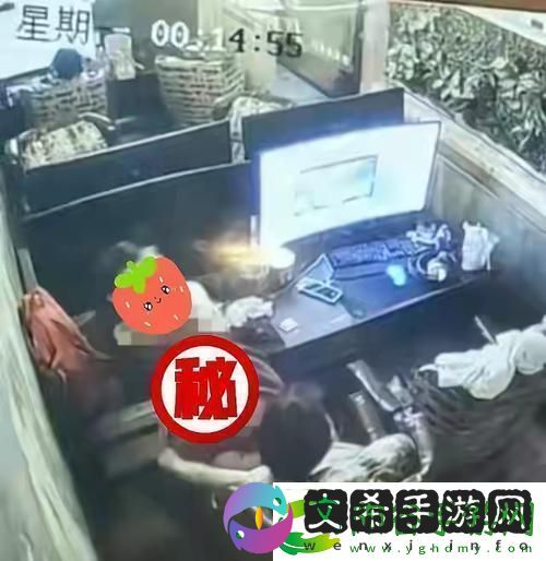 男女牌局下的被窝奥秘