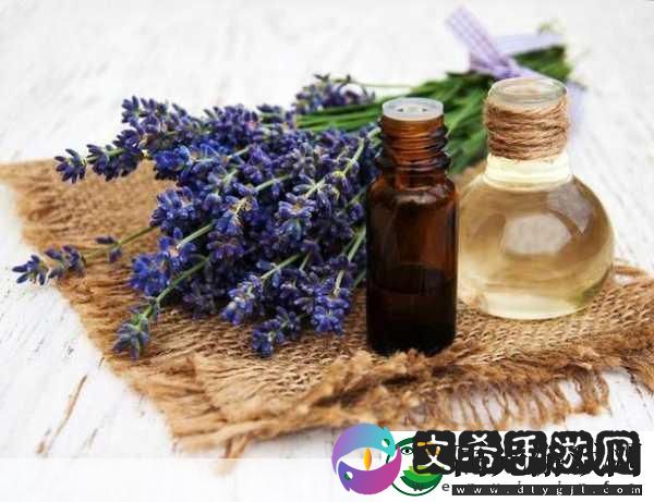 薰衣草实验室研究所-1.-薰衣草实验室：探索香气与情绪的奥秘！