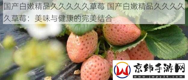 国产白嫩精品久久久久久草莓