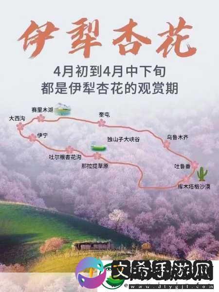伊犁园20233秒转入被黑科技成