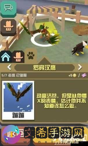 探秘疯狂动物园,埃及秃鹰——法老王的空中宠儿