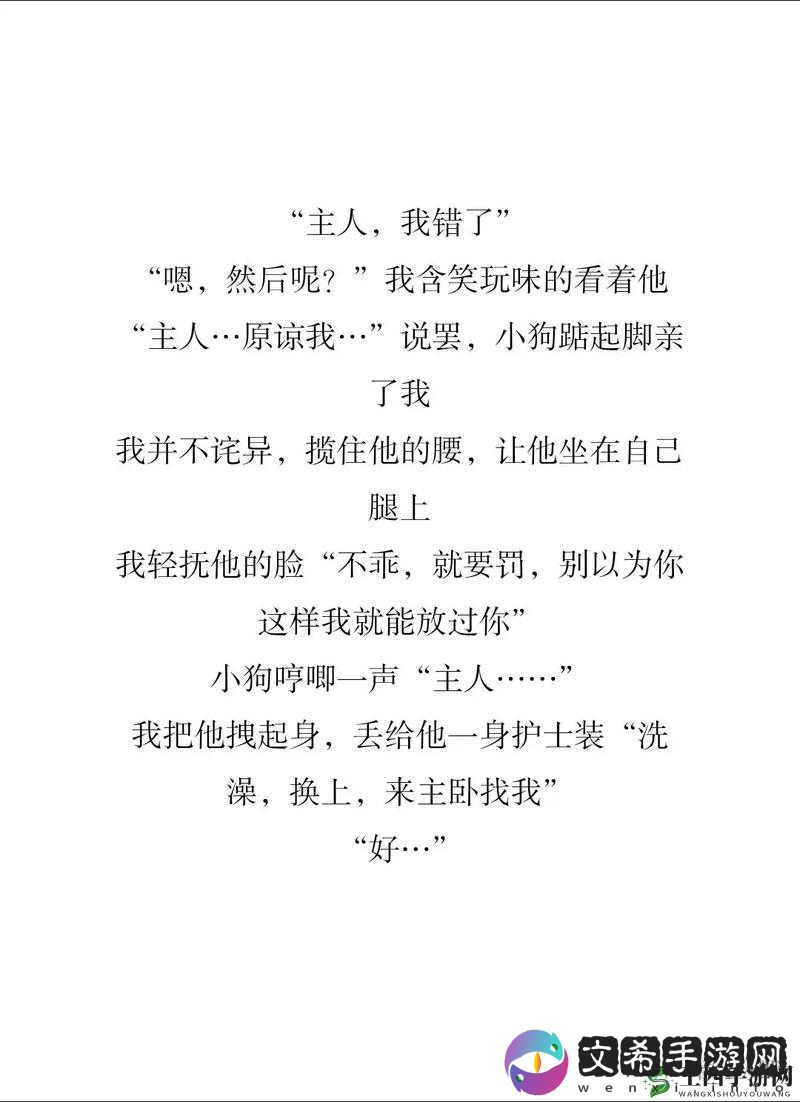 主人我错了:能否关掉开关的奇妙故事
