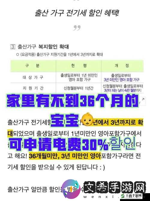 理论电费韩国:深入剖析其背后的机制