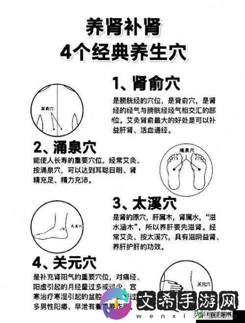 按哪个部位可以提高性功能:中医传统穴位按摩法解析