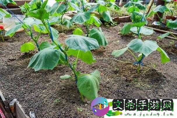 旅游换伴交流故事我是方便面
