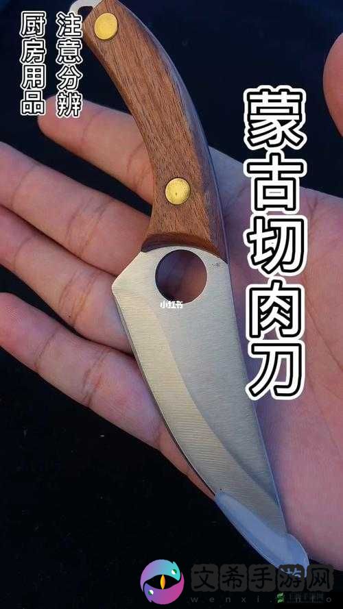 冒险之途:探秘轻质切肉小刀的神秘属性图鉴之旅