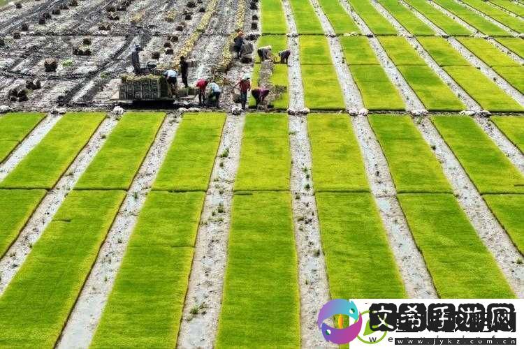 夫妻间