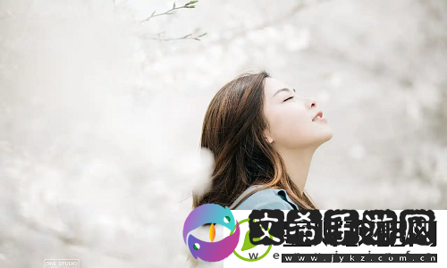 免费的行情网站入口