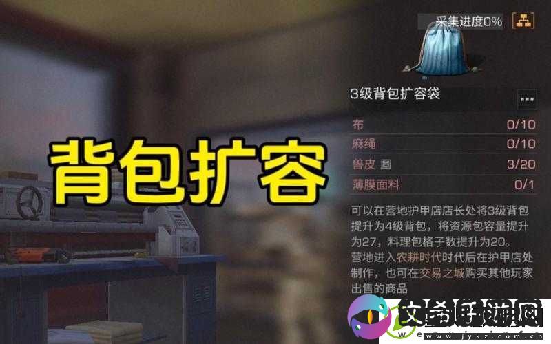 明日之后背包扩充途径与背包满的解决办法