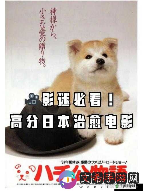 ZOOMSERVO 兽狗剧情解析:揭秘背后的真相