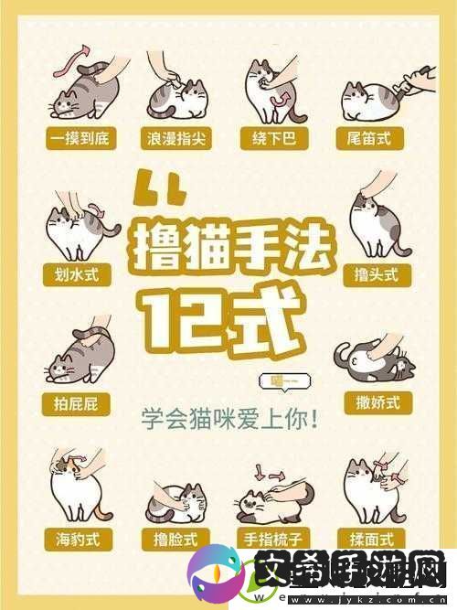 撸猫模拟器中文设置教程