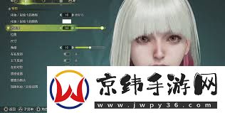 怪物猎人荒野2B捏脸技巧