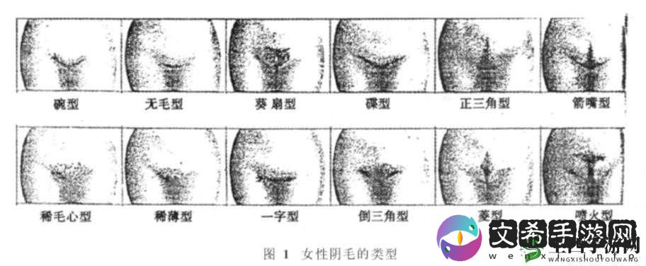女性三角毛毛区腹部里面疼痛的原因及应对