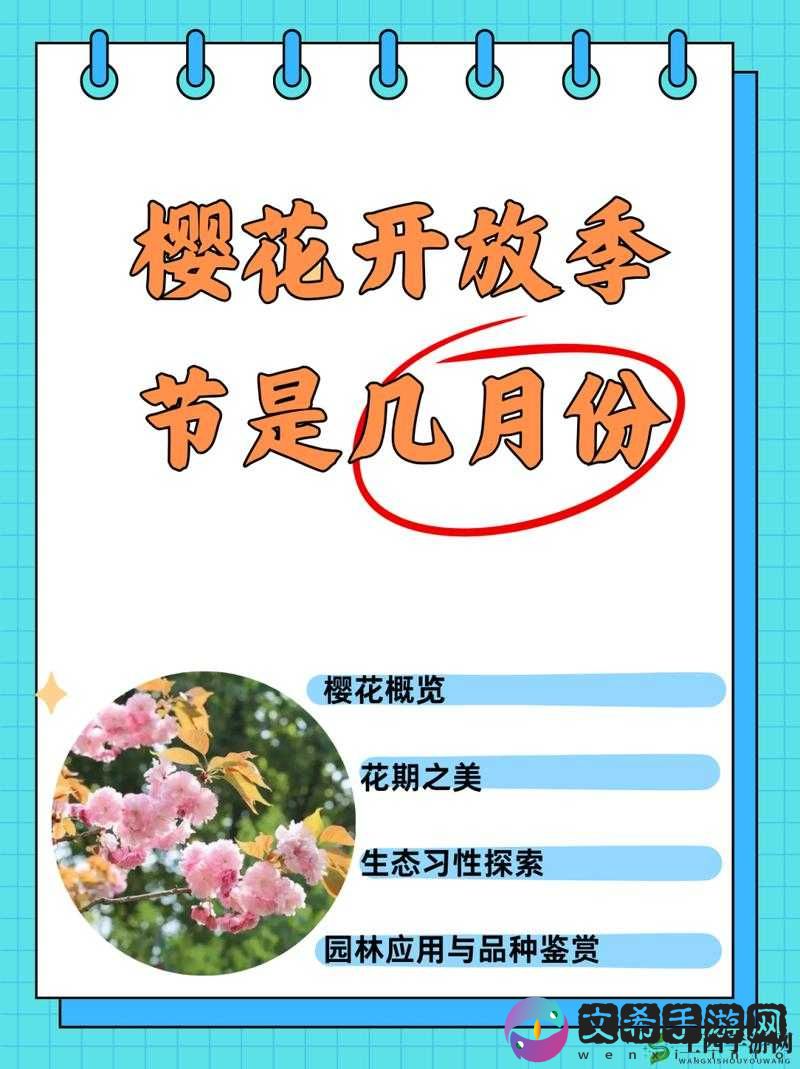 樱花官网进入入口网站：畅享樱花之美