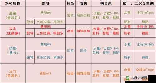 天穗稻姬:稻种培育与种植全教程