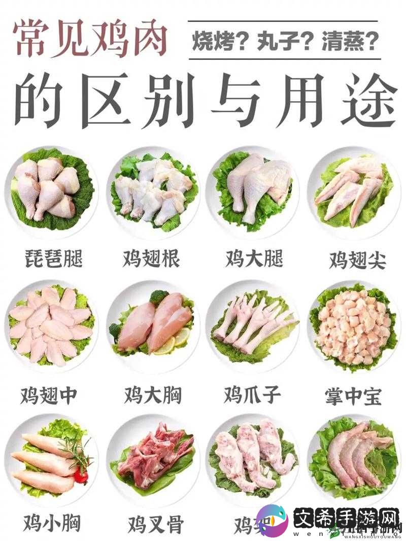 小小妖怪翅膀进阶攻略:升级翅膀的秘密