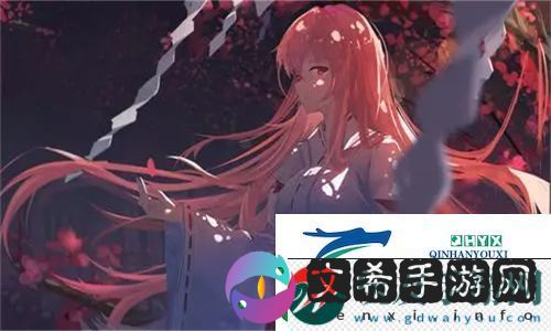 中国高清windows视频软件