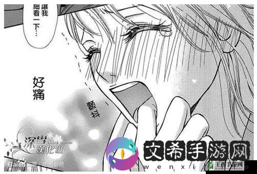动漫** H:一场充满激情的冒险之旅