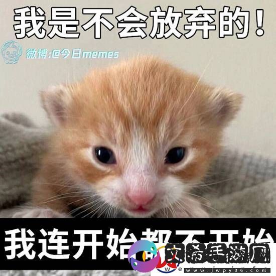 相亲该听爸爸的还是妈**