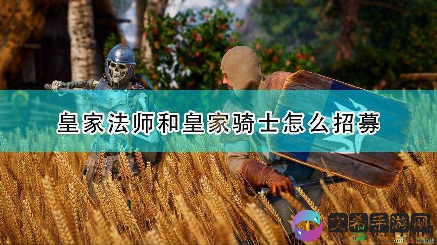 国王的恩赐2皇家骑士招募详解
