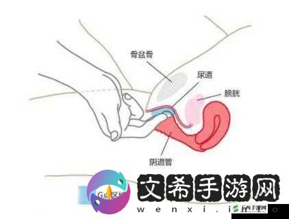 在公交车上弄到高 C 的免费:刺激的免费体验