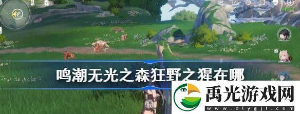 鸣潮无光之森狂野之猩在哪